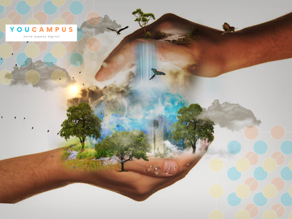 2. L’individu responsable dans son environnement