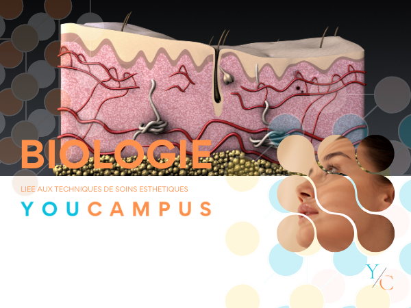 1.Biologie - Soins du visage et corps