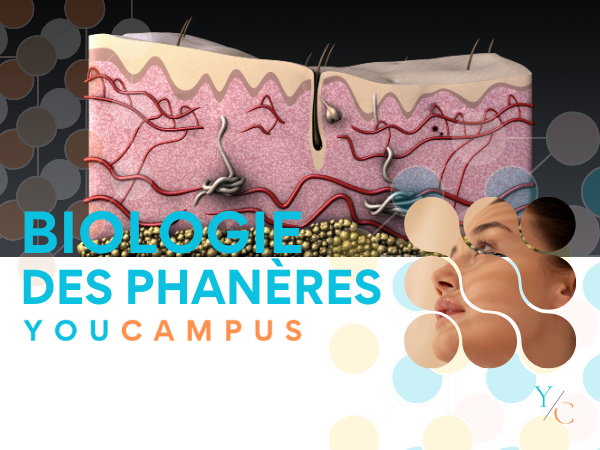 5.Focus Biologie - Phanères